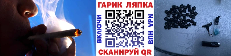 где найти наркотики  omg tor  ГАШИШ Cannabis  Гаджиево 