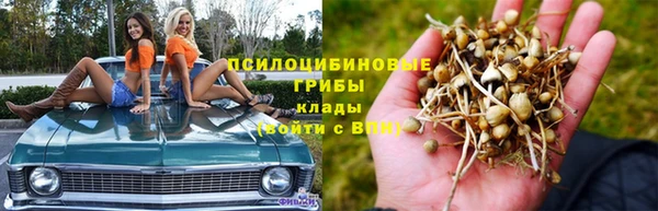 молекула духа Алзамай