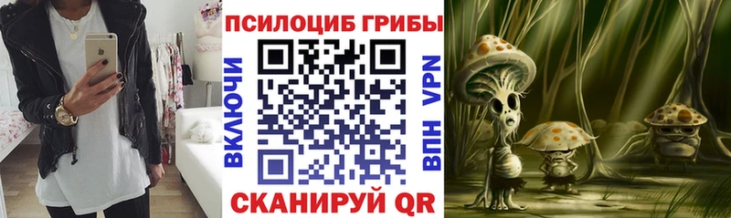 маркетплейс официальный сайт  Гаджиево  Галлюциногенные грибы MAGIC MUSHROOMS  дарнет шоп 